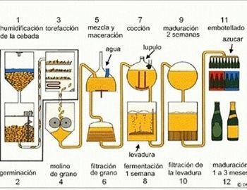 proceso de elaboracin de la cerveza