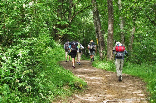 camina por el sendero