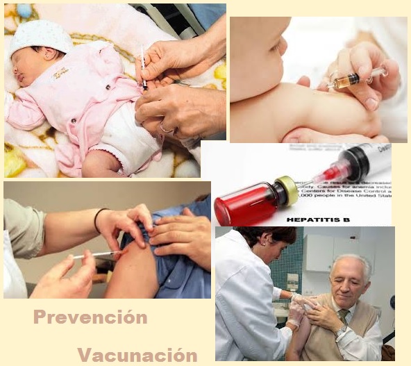 prevcin contra la hepatitis b