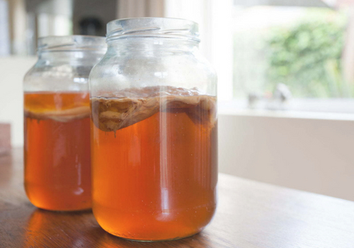la kombucha es una bebida
fermentada, endulzada con bacterias la kombucha es una bebida fermentada, endulzada con bacterias