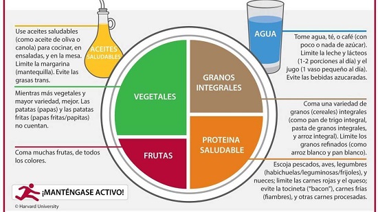 porciones de un plato saludable