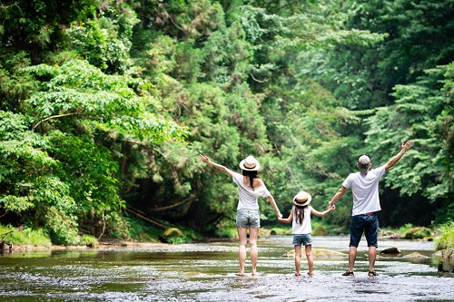 vida en armona con la naturaleza