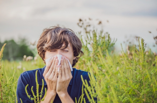 como aliviar los sntomas de alergias primaverales