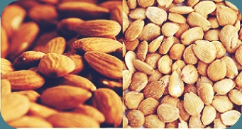 tipos de almendras