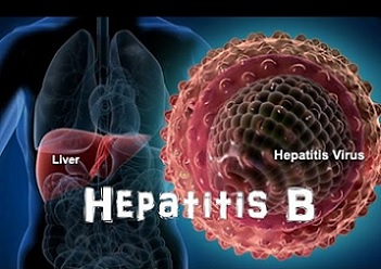 hepatitis b, aguda y crnica
