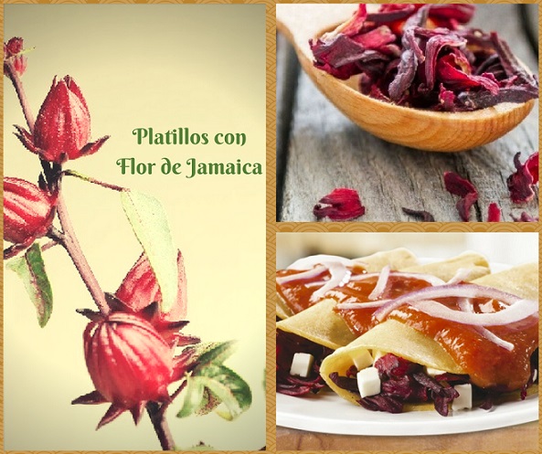 Recetas con flor de Jamaica