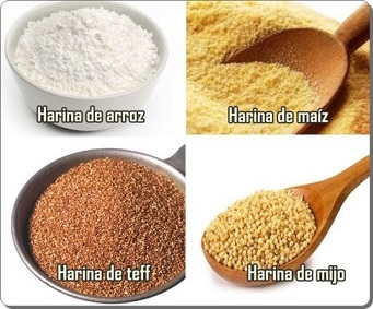 harinas sin gluten