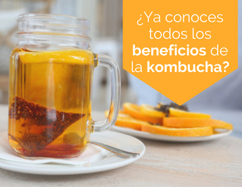 ya conoces todos los beneficios de la kombucha?