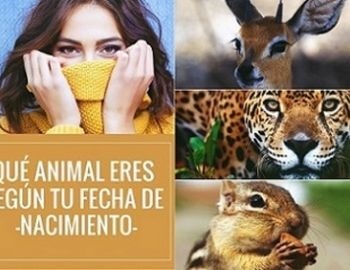 animal segn tu fecha de nacimiento