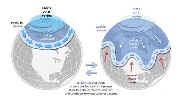 vrtice polar