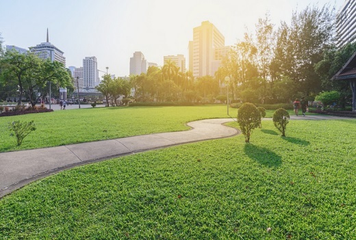 jardines urbanos para mejorar nuestra vida