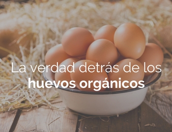 la verdad sobre los huevos orgnicos