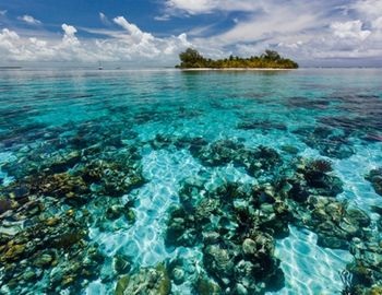 d�a mundial de los arrecifes