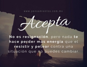 los 10 ladrones de tu energ�a