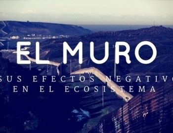 efectos negativos del muro