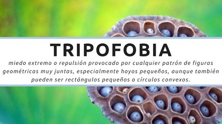 qu es la tripofobia